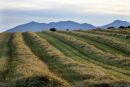 Third Part nr West Kilbride looking towards Arran
