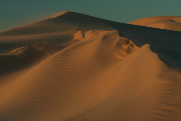 Dunal Landscape