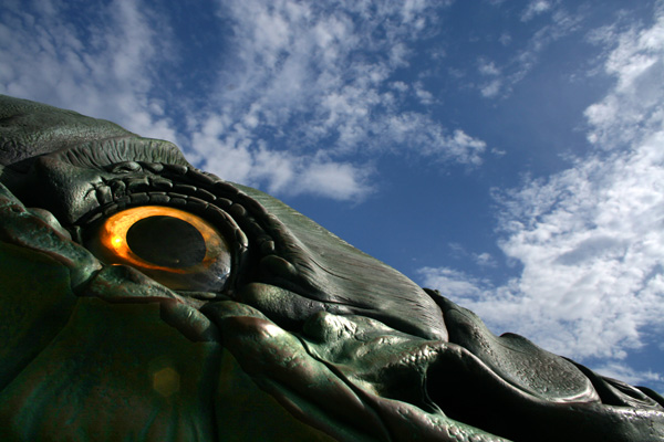 Eye of gueli fish