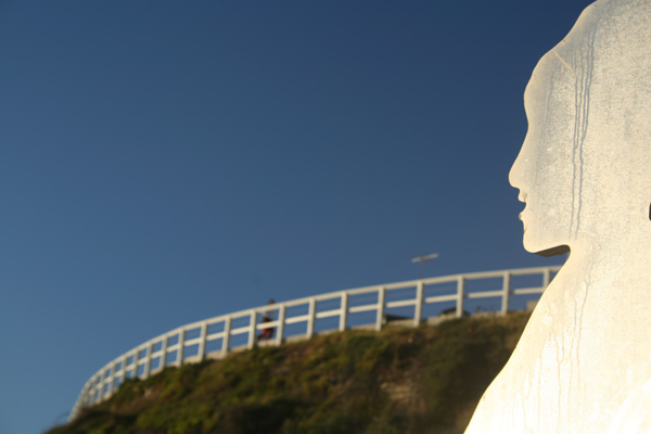 Overlooking Tamarama