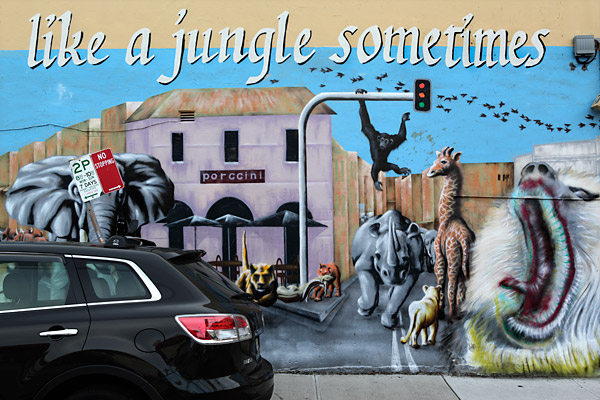 Like a Jungle Sometimes