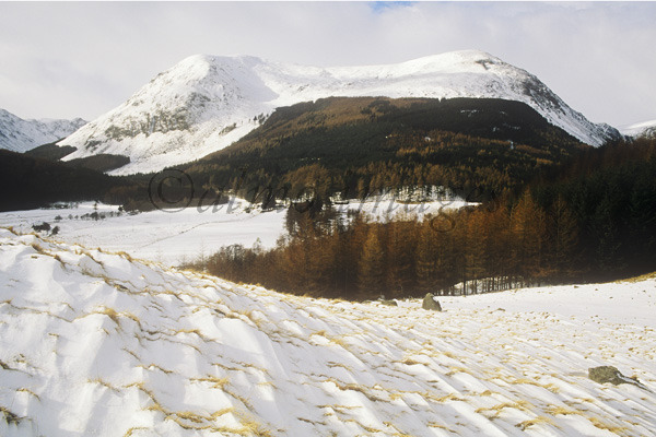 Snow covered Craig Mellon