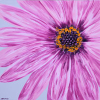 'Amy' SOLD