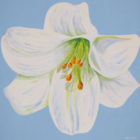 'Anna- Marie' SOLD