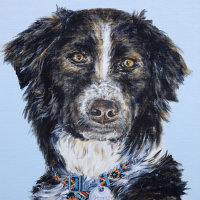 'Bella' close-up