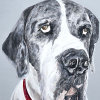 'Bess' Close-up