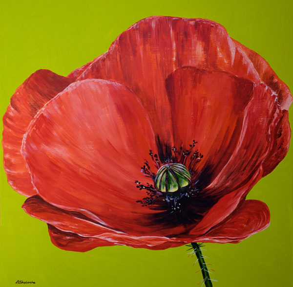 'Blaze' SOLD