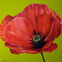 'Blaze' SOLD