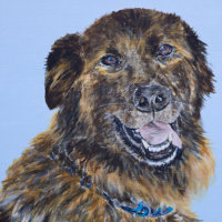 'Bo' close-up