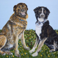 'Bo & Bella'