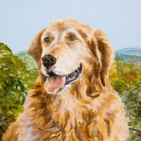 'Bosco' close-up