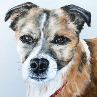 'Buddy' Close-Up