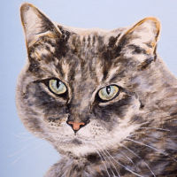 'Charlie' close-up