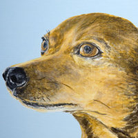 'Clooney' close-up