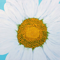 'Daisy Belle' SOLD
