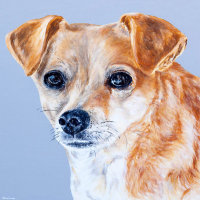 'Daisy Dog'