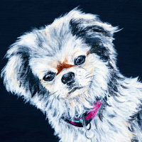 'Fofinha-Maria' Close-up