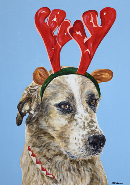 'Harvey at Christmas'