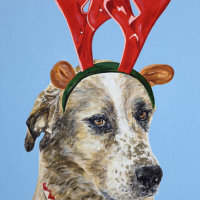 'Harvey at Christmas'