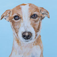 'Jimmy' Close-up