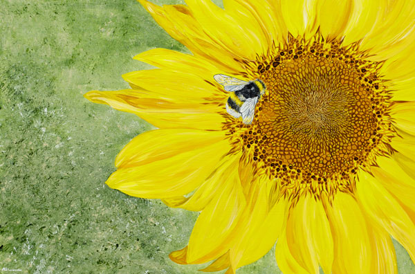'Kindness' SOLD