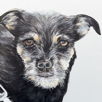 'Lexie' Close-Up