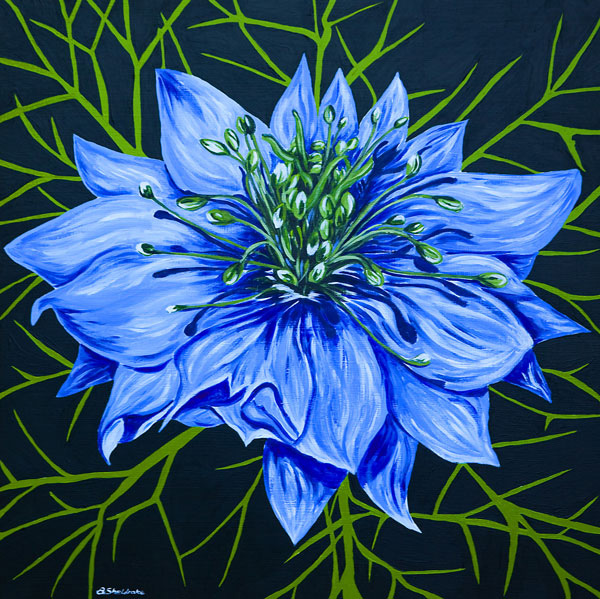 'Love in a mist' SOLD