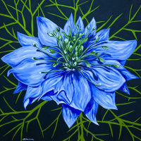 'Love in a mist' SOLD