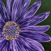 'Midnight' SOLD