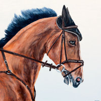 'Mozzie'