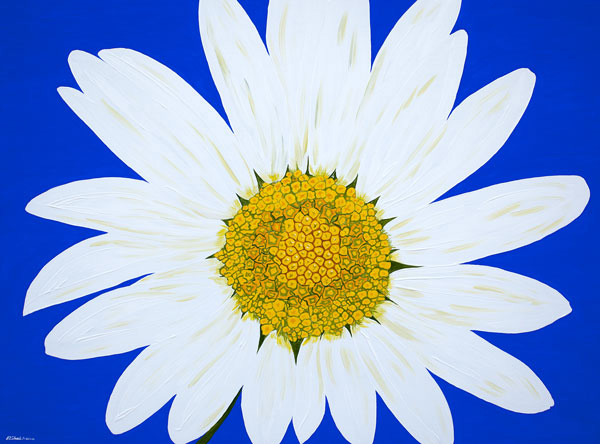 'Oops-a-Daisy' SOLD