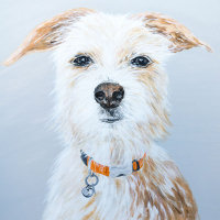 'Ozzie' Close-Up