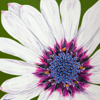 'Passion' SOLD