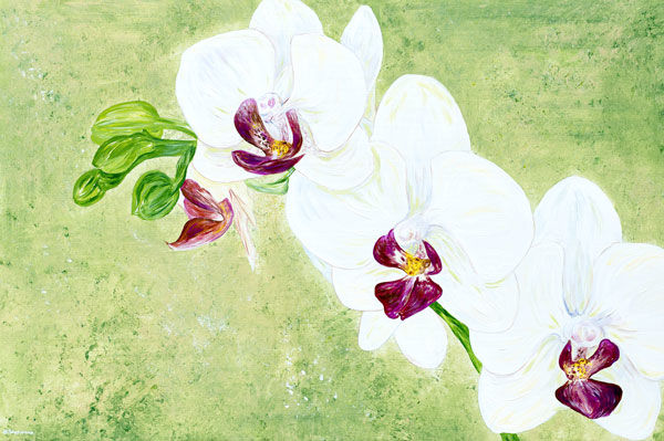 'Peace' SOLD