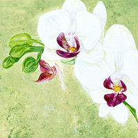 'Peace' SOLD