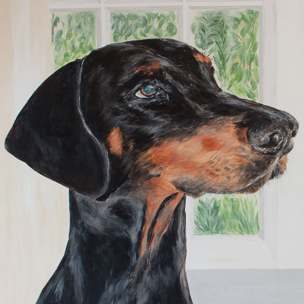 'Phoebe' Close-up