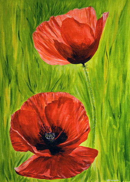 'Poppies' SOLD