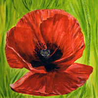 'Poppies' SOLD