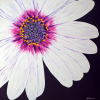'Pureza' SOLD