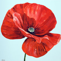 'Red Velvet' SOLD