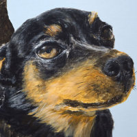 'Rocky' close-up