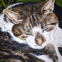 'Seamus' close-up