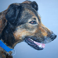 'Skippy' Close-up