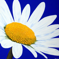 'Springtime' SOLD