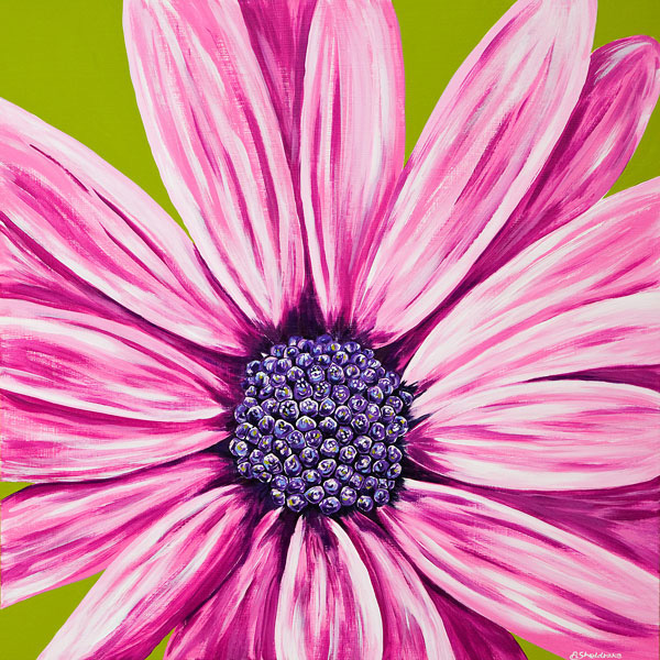 'Surprise' SOLD