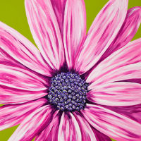 'Surprise' SOLD