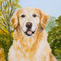 'Winnie' close-up