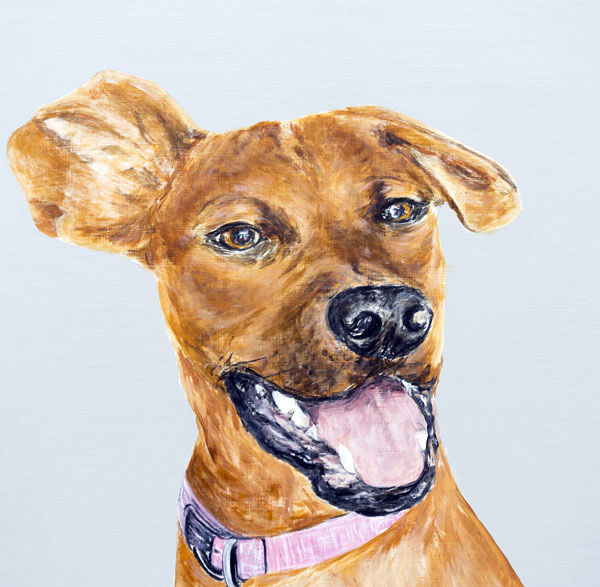 'Zula' Close-up