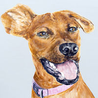 'Zula' Close-up