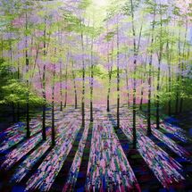 A Lighter Place